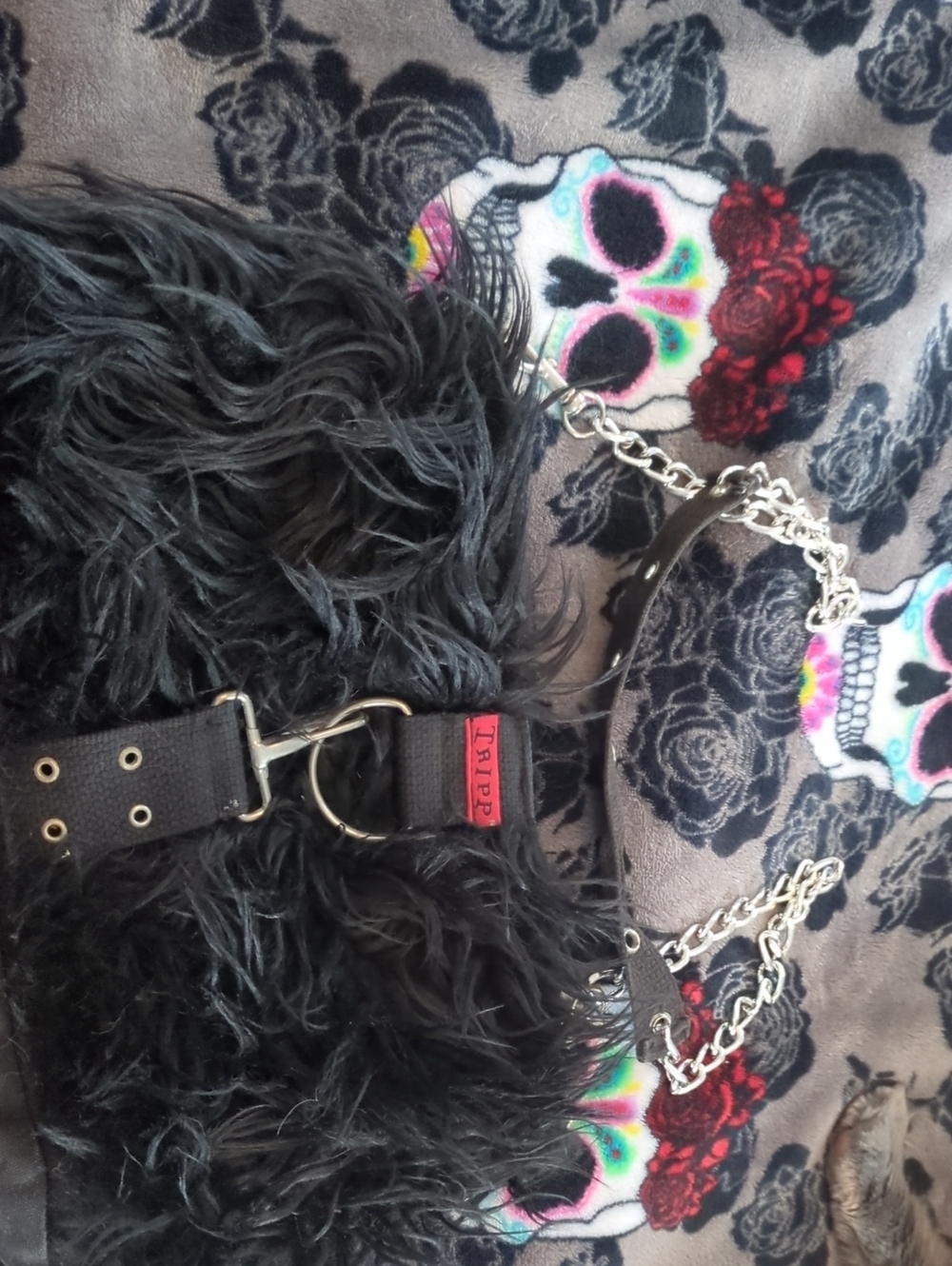 Tripp nyc Black Faux Fur Crossbody Bag with Silver Chain Strap